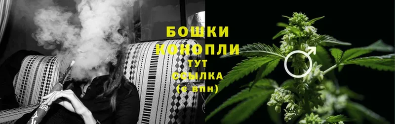 Канабис White Widow  Тольятти 